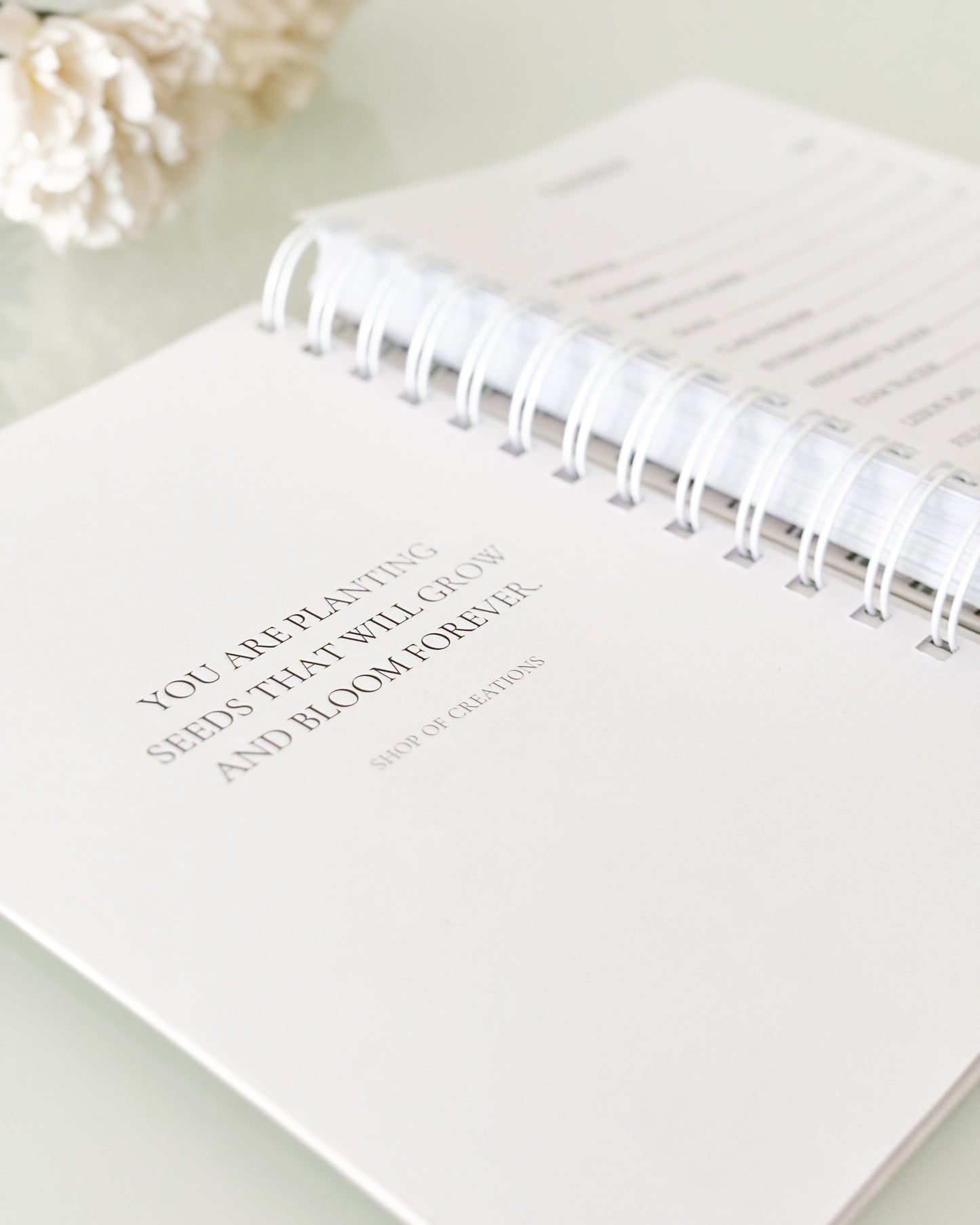 Teacher Planner